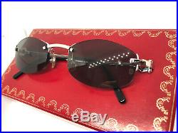 CARTIER Rimless Vintage! Eyeglasses / Sunglasses Silver Grey BOX 20807