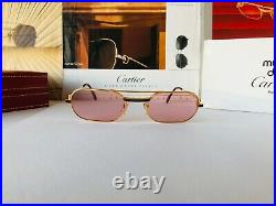 Cartier Must Laque Santos Vintage Sunglasses Lunettes Sonnenbrille Eyeglasses